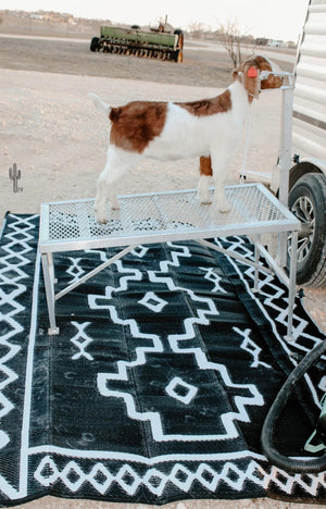 Outdoor Rugs PREORDER