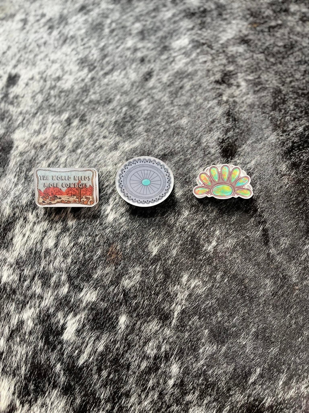 Western Magnetic Clips